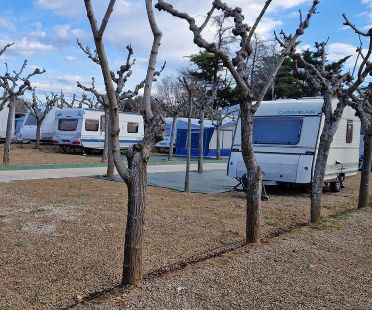 parcela-campingsantaeulalia-3